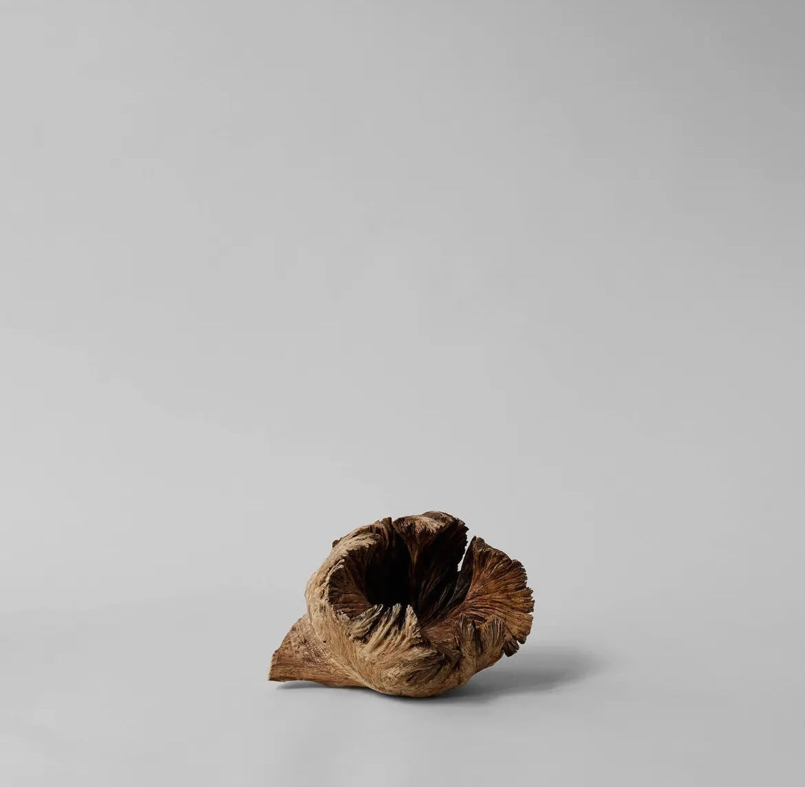 Rare Wood Flower