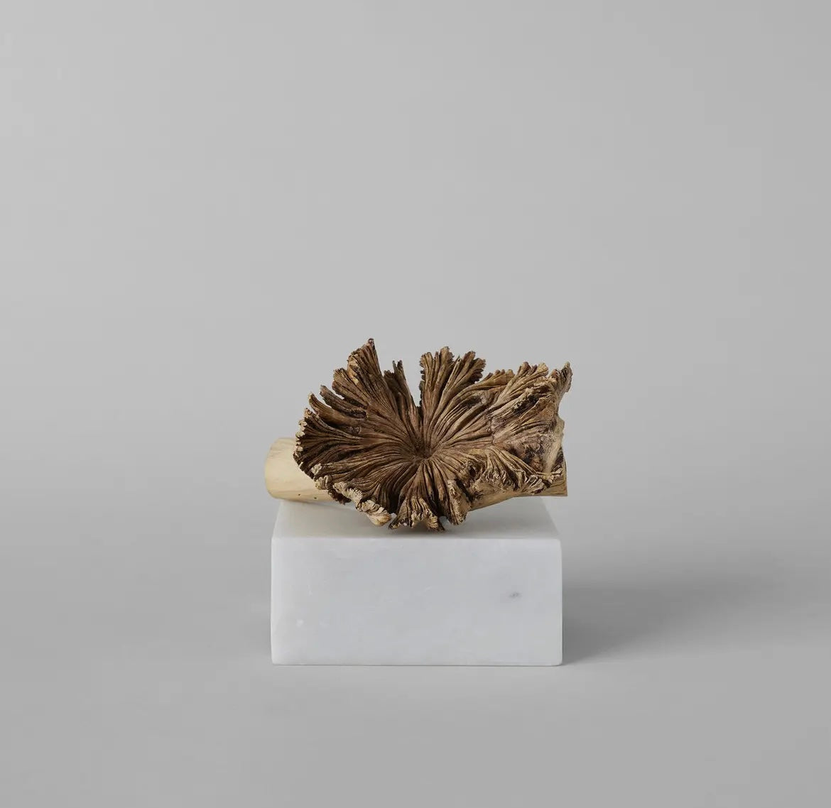Rare Wood Flower
