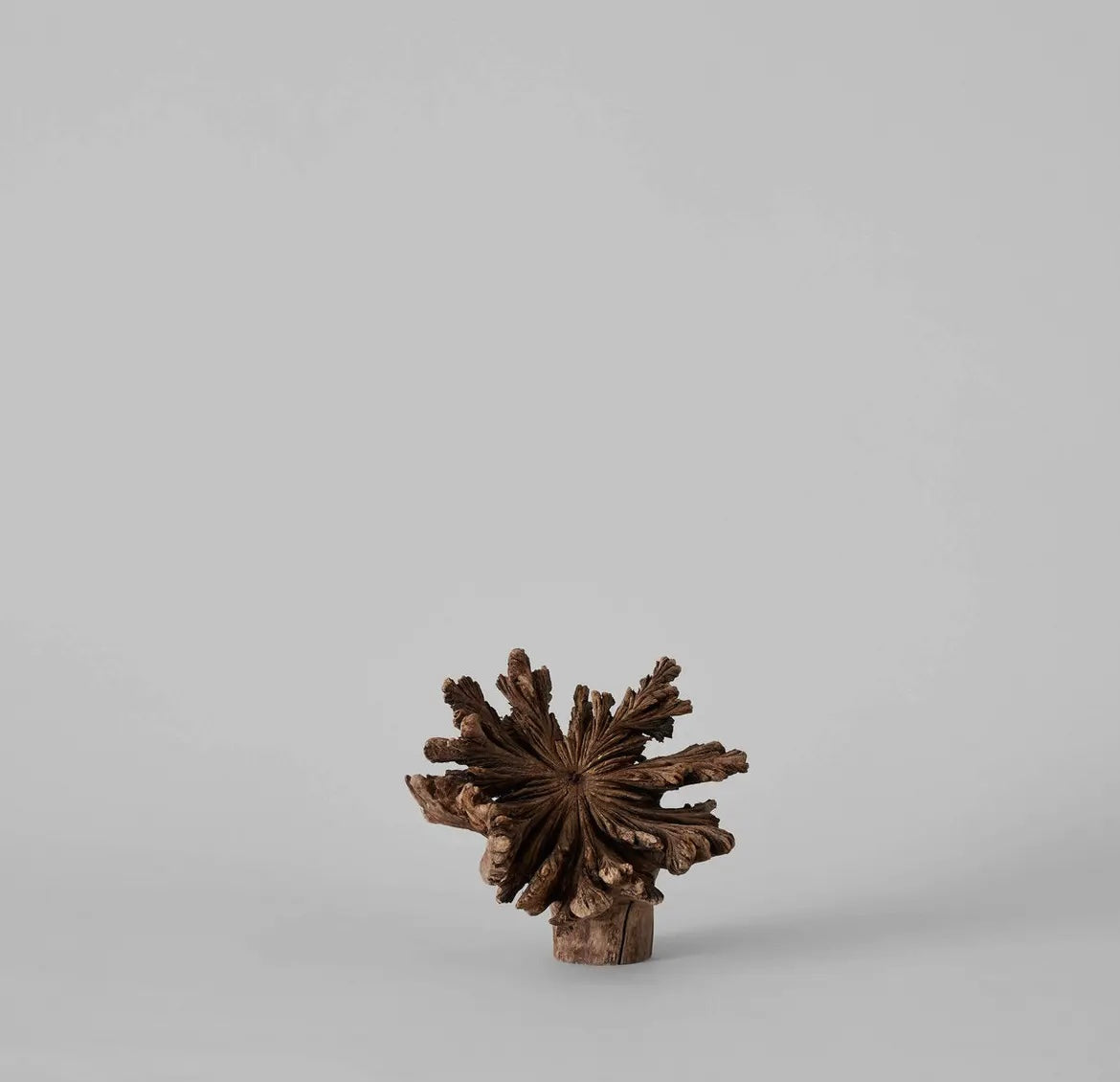 Rare Wood Flower