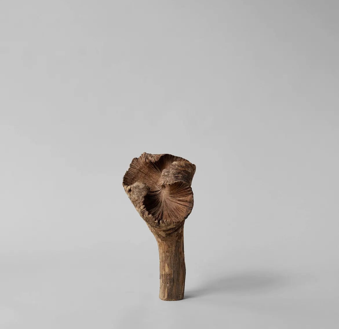 Rare Wood Flower