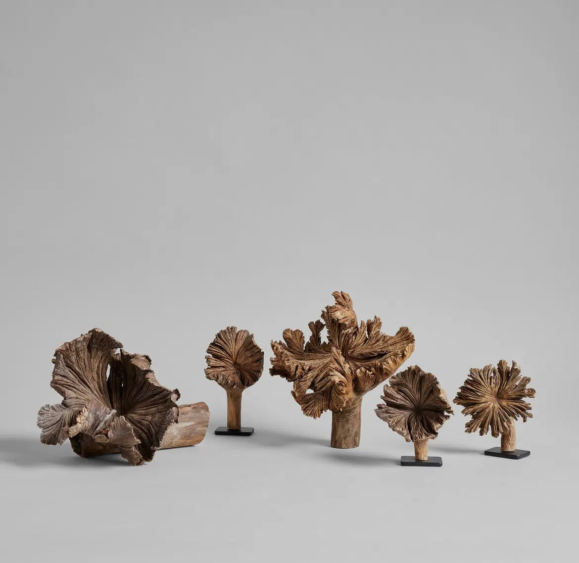 Rare Wood Flower