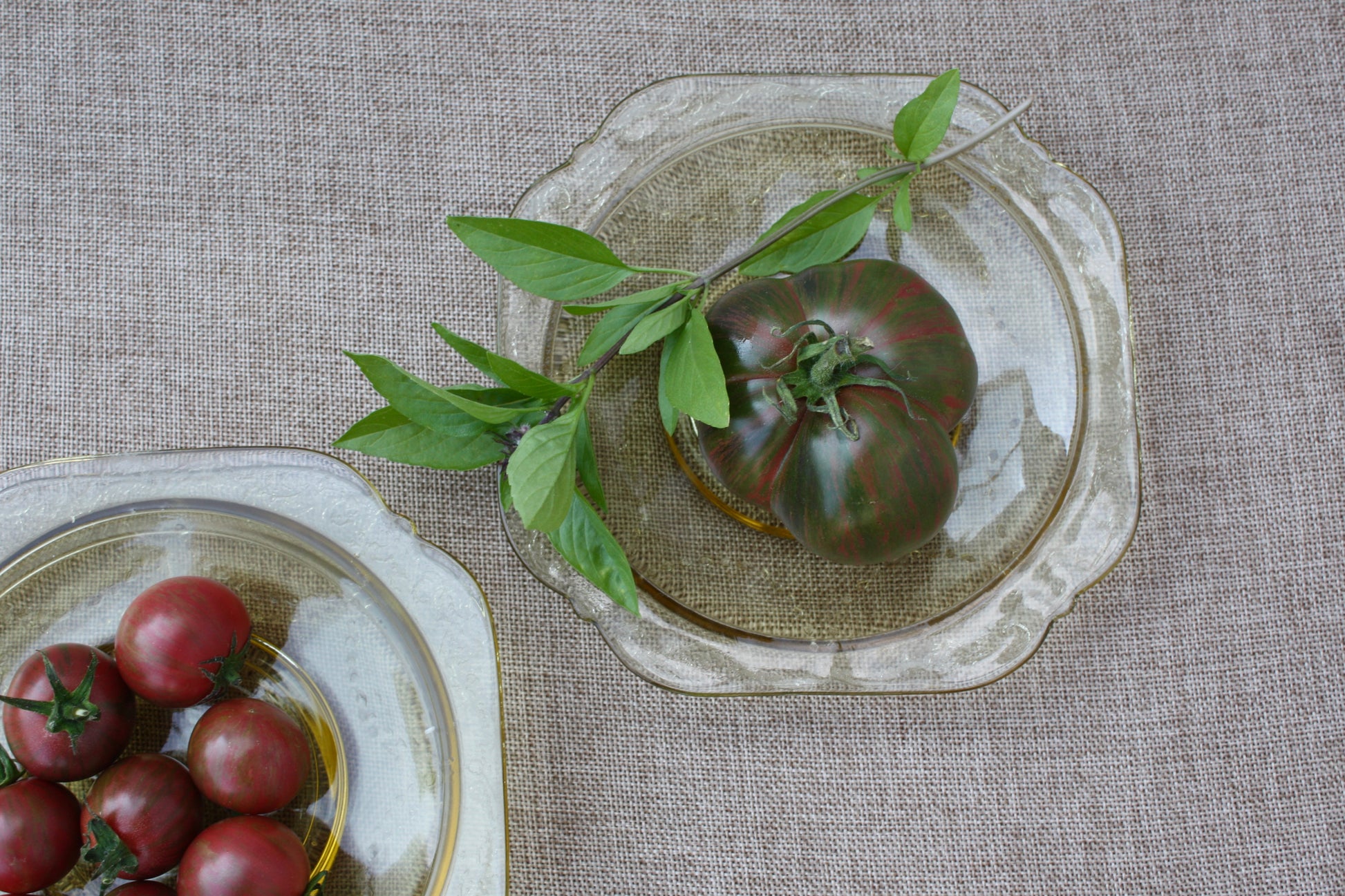 Vintage Amber Botanical Glass Plate Set (3)