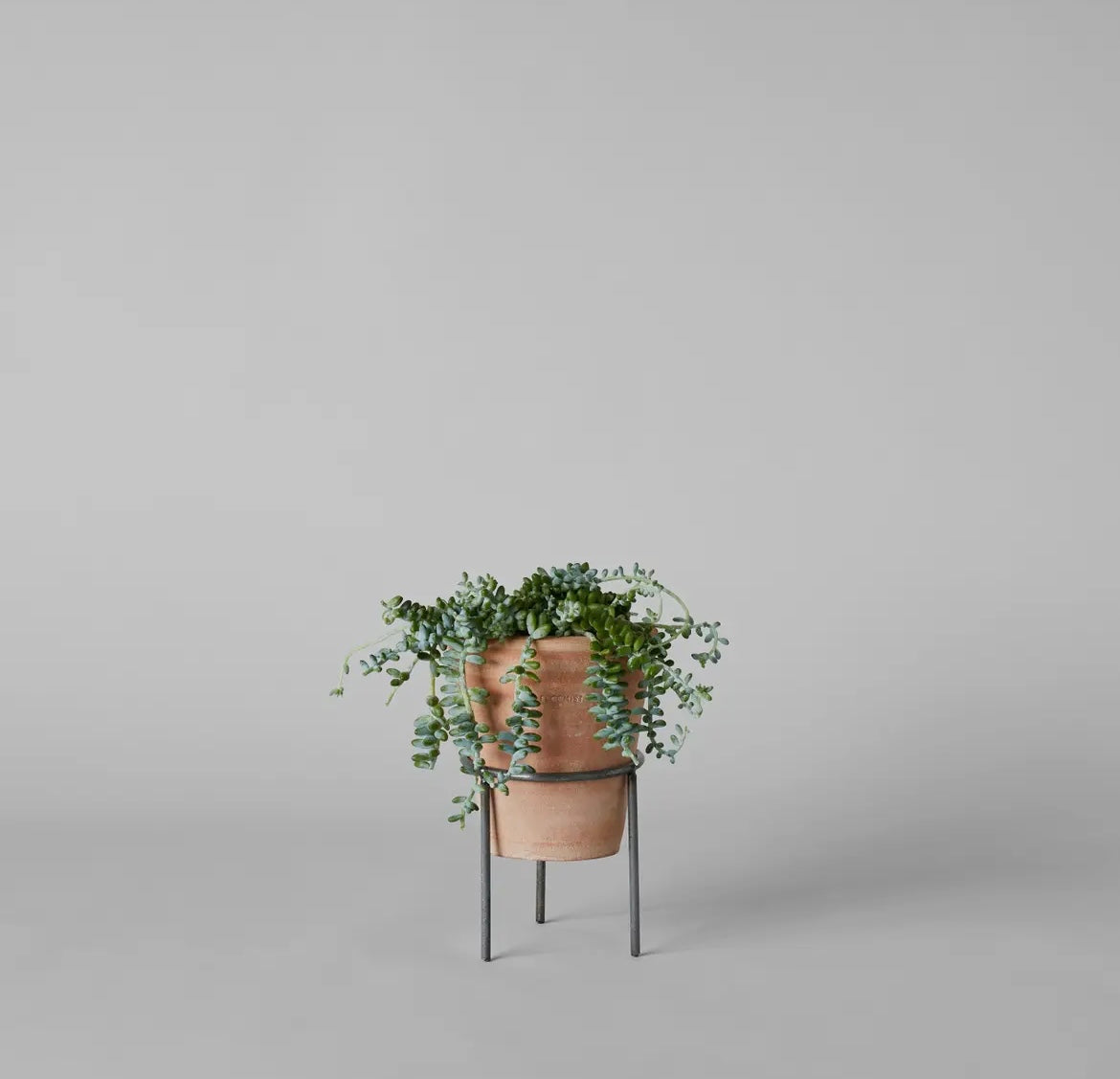 Wrought Iron Planter Stand