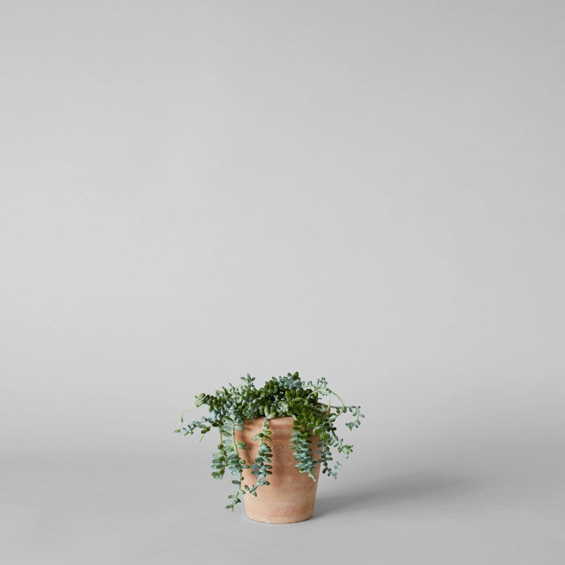 Whitewash Studio Planter