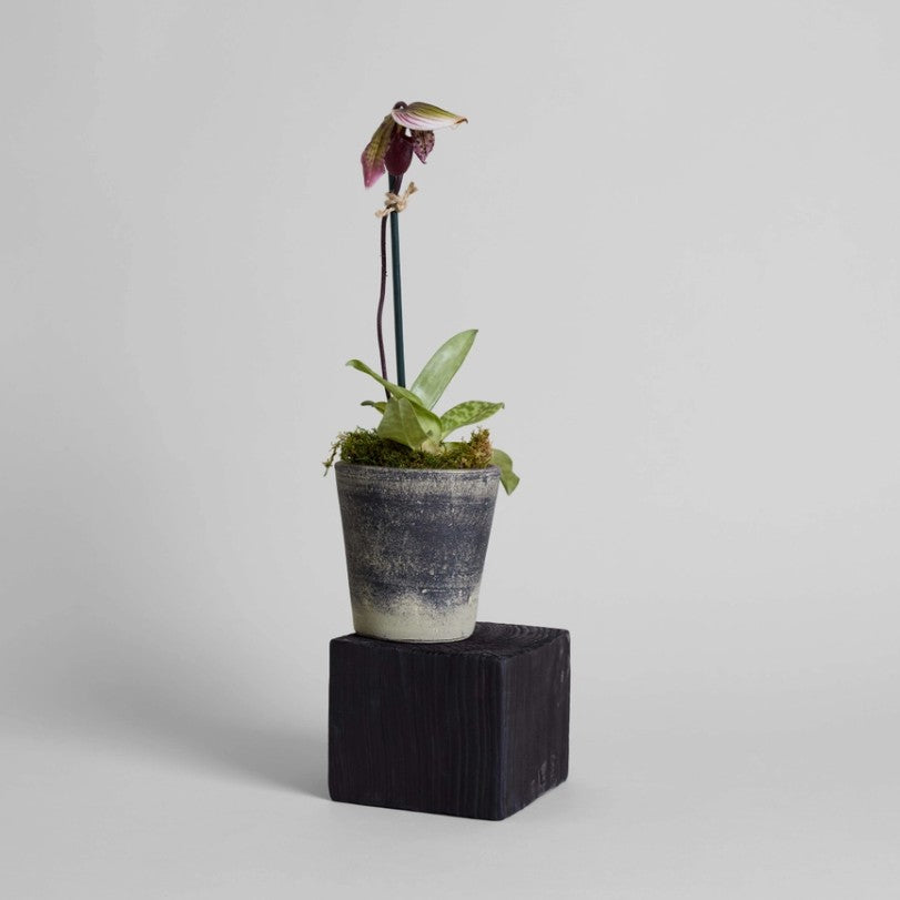 Grey Patina Planter