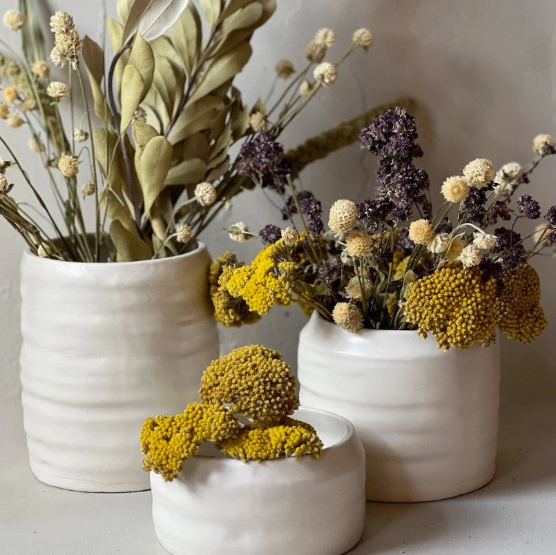 Dried Natural Yarrow