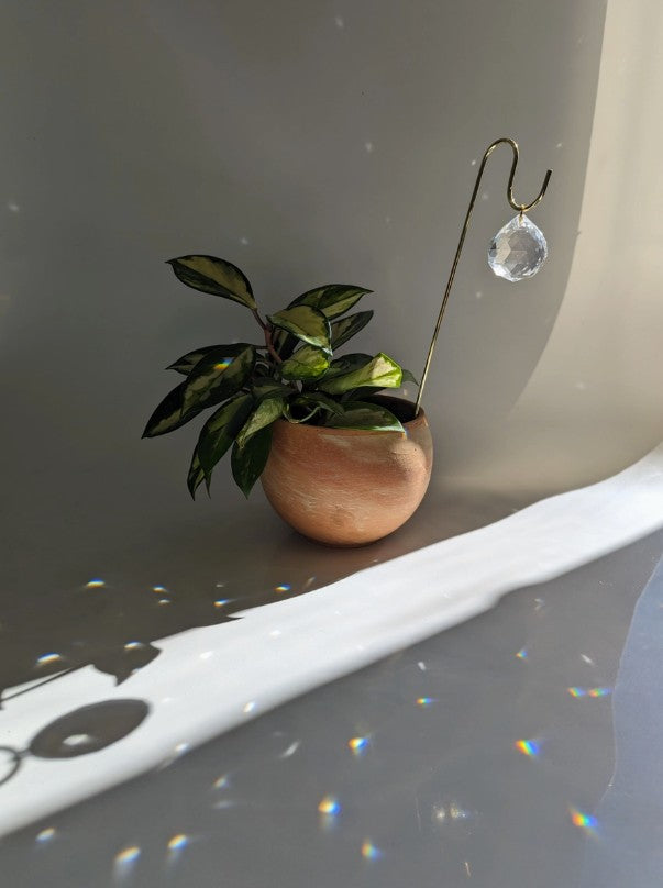 Sun Charm Plant Pick