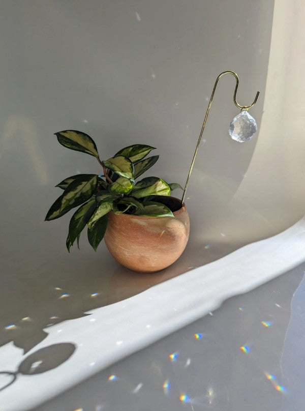 Sun Charm Plant Pick