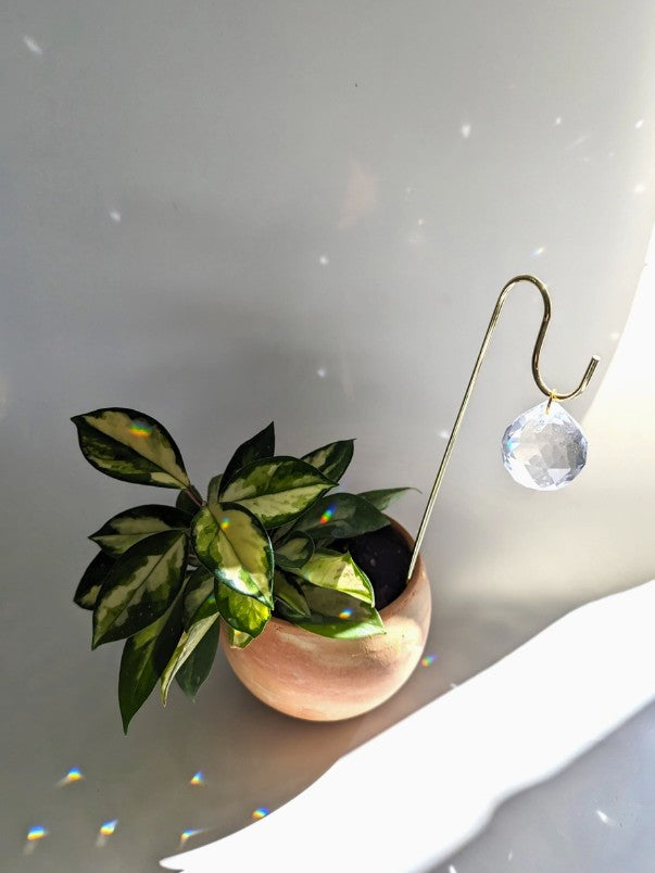 Sun Charm Plant Pick